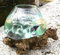 Vase/Aquarium en Verre soufllé sur Racine de Bois, modèle Unique (Hauteur Environ 25cm). Choix sur Photos ENVOYEES Suite A Votre Commande. Vendeur Francais. Livraison en Point Relais