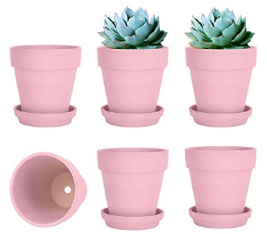 Lot de 6 Pots en Terre Cuite Rose de 10,2 cm avec Soucoupe – Petit Pot de Fleurs en Terre Cuite avec Trou de Drainage, Pot de Fleurs avec Plateau, d'intérieur et d'extérieur