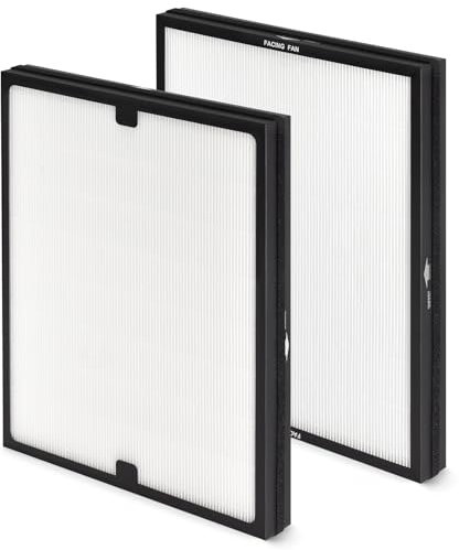 HSIAMEN Classic 200/300 Serie Partikel-HEPA-Filter, Ersatz kompatibel mit Blueair 200/300 Serie Luftreiniger-Modelle 201, 203, 205, 215B, 250E, 270E, 280i, 303, 2 Stück