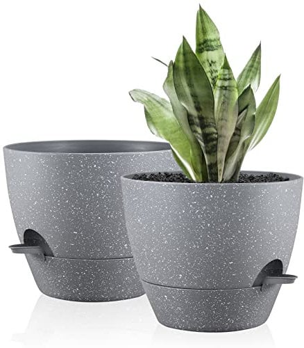 FORAGIFT Macetas de 25 cm con autorriego para interiores, paquete de 2 macetas grandes de plástico con depósito profundo y agujeros de drenaje altos para plantas y flores de interior y exterior, color
