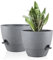 FORAGIFT Macetas de 25 cm con autorriego para interiores, paquete de 2 macetas grandes de plástico con depósito profundo y agujeros de drenaje altos para plantas y flores de interior y exterior, color