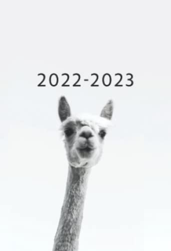 2022 – 2023: Ab September 2022 bis August 2023 | A6 Kalender Mini Planer | 1 Woche auf 2 Seiten Wochenplaner | Soft-Cover Alpaka | Kalenderbuch ... Terminplaner | Buchkalender Jahresplaner