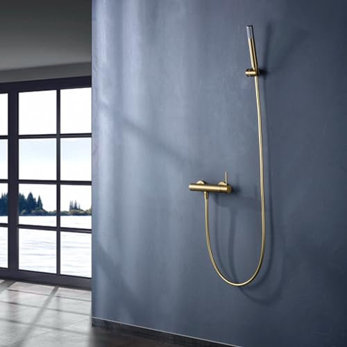 Imex Monza Robinet mitigeur de douche avec douchette et flexible Doré brossé