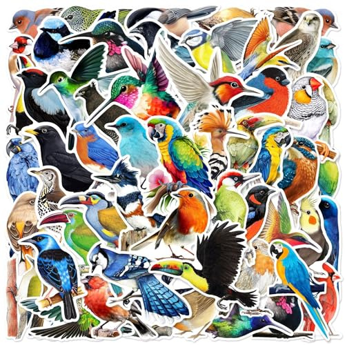 Vögel Aufkleber Bunt Vögel Sticker Set 50 Stücke Niedlich Deko für Auto Laptop Skateboard Fahrrad Moped Motorrad Fahrrad Computer,Geeignet für Erwachsene Kinde
