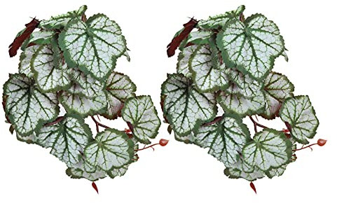 Lebensechte Kunststoffpflanze mit Saugnapf für Tiefgrüne Regenwaldumgebung, Sicher für Haustiere (Wo die Wurzel geht)