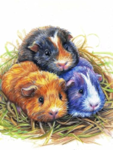 Diamond Painting Meerschweinchen Diamond Painting Erwachsene Groß XXL Tier Full drill Daiment Malerei Erwachsene, 5D Diamant Art Mosaic Bastelset Kunst-Design-Stickerei für Dekoration 40 X 50cm T-M