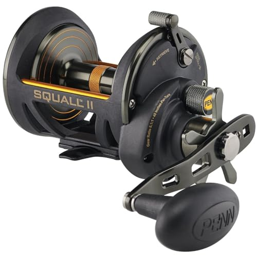 Penn Squall II SQLII40SDLH Star Drag konventionelle Angelrolle, Star Drag