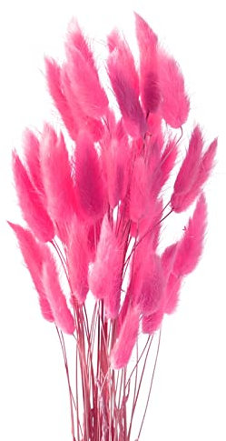 Diyxisk Erba Della Pampas,50 Pezzi Reed Grass,Fiori Secchi Decorativi,Piante Secche,Adatto per Vaso da Tavola per Matrimoni Accessori per Decorazioni per la Casa Soggiorno(Rosso rosa intenso)