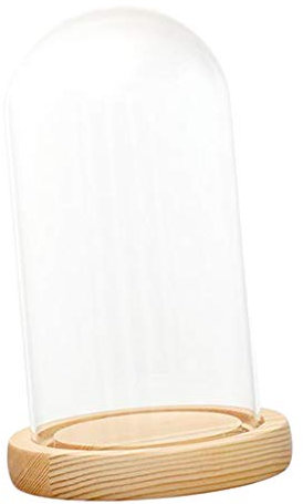 B Blesiya Protection Écran Dôme Cloche en Verre avec Support Microlandscape Naturel Socle en Bois - C 10x15cm