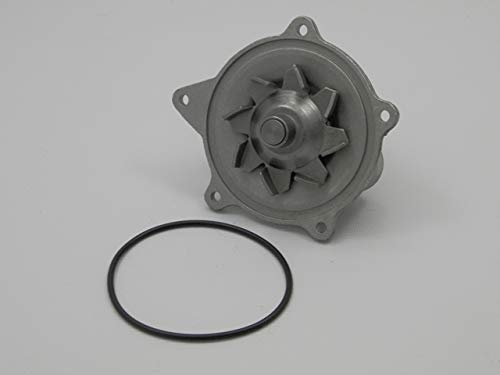 NTY CPW-CH-001 Bomba de agua con junta