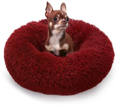 ALLSOPETS Beruhigendes Hundebett für Kleine und Mittelgroße Hunde Waschbares Donut-Katzenbett mit Rutschfester Unterseite Weiches Rundes Plüsch-Hundebett (Weinrot, 60cm)