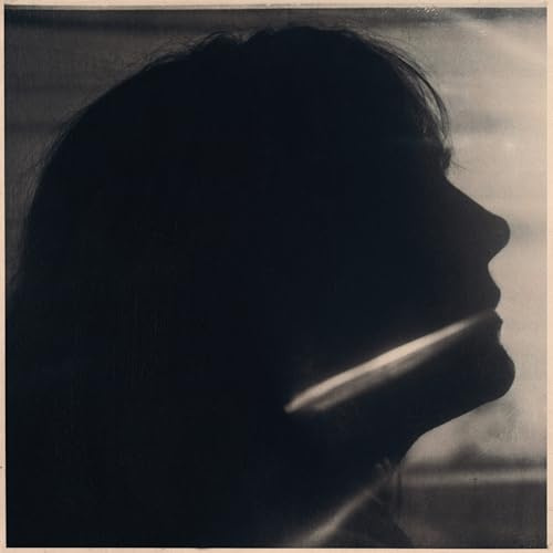 I Just Need to Conquer This Mountain [Vinyl LP]