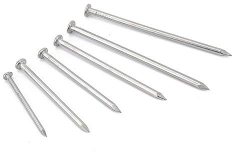 Masonry Steel Nails，Flat Round Head Nail， 20PCS 304 Stainless Steel Nails, Steel Nails, Woodworking Nails, Wood Cement Staples, Long Nails(3.0 Inch 75mm)