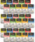 Miamor Ragout Royale in Jelly 30 x 100g Mixpaket | Garantierter 5-Sorten-Mix | Mit Vitaminen & Mineralstoffen | Getreidefrei & ohne künstliche Zusätze | Bekömmliche und natürliche Katzennahrung