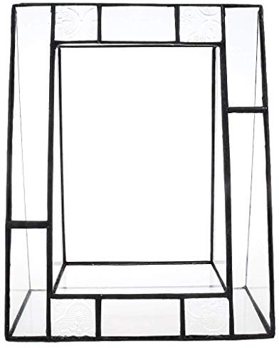 Tubayia Cube - Pianta in Vetro per terrario e Piante succulente