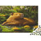 lihuogongsio Capybara Puzzle Für Erwachsene 1000 Puzzle Erwachsene Anspruchsvoll Puzzle Puzzlegröße Puzzle Unmögliches Puzzle Spielzeug Geschenk 1000pcs (75x50cm)