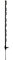 FENCETEXX Black Electric Fence Posts 120cm (4ft) Support Guides for Temporary Fencing for Gardens and Livestock, Heavy-Duty Poly Spikes for Rope, Wire, and Tape (10)