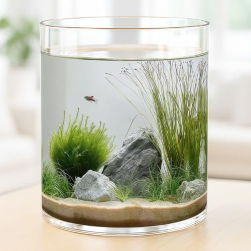 Maxdot 2.5 Gallon Cylindrical Glass Fish Tank, 360° Aquarium for Betta