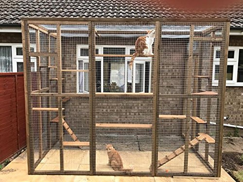 4 Wire Catio/Cat Lean to 8ft x 6ft x 7.5ft tall with ladders and shelves secure run 1 x 1