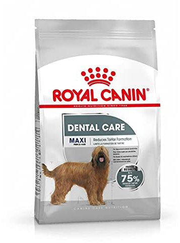 ROYAL CANIN Maxi Dental Care - 9 kg