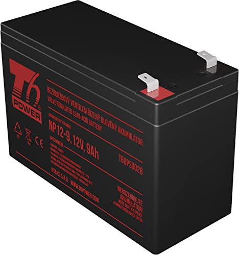 T6 Power Battery Set for APC Back-UPS Pro 700, VRLA, 12 V