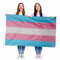 Bandiera transgender LGBTQ – Confezione da 2 – Decorazione per travestimento – 1,5 x 0,9 m grande bandiera con occhielli – Pride Festival e celebrazioni – feste in strada