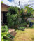 250 X 140 X 38 cm, Spitz Gartenbogen, Romantisch Hochzeitsbogen, Klettern Rosenbogen, Laube Pergola Im Freien