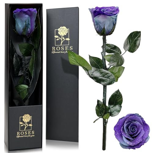 Infinity Rose in Geschenkbox, Ewige Rose mit Stiel Geschenke für Frauen Echte Rosen Eine Konservierte Blume für Mama Damen Freundin zum Geburtstag Valentinstag Weihnachten - Sternenhimmel lila