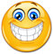 Smiley Autoadesivo smile I rotondo Ø 20 cm I Emoticon Sticker sorriso per auto camper roulotte adesivo murale I impermeabile I kfz_298