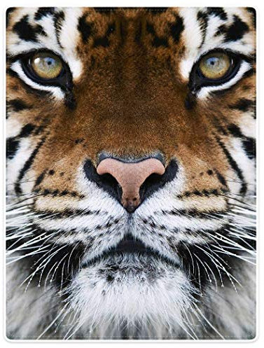 YISUMEI Decke 150x200 cm Kuscheldecken Sanft Flanell Weich Fleecedecke Tierdruck Tiger Gesicht