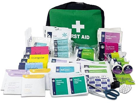 Lewis-Plast Reliance Medical Erste-Hilfe-Set Tasche – 309-teiliges Überlebensset – Sicherheits-Essentials für Reisen, Auto, Zuhause, Camping, Arbeit, Wandern, Urlaub – Packzubehör – extra groß