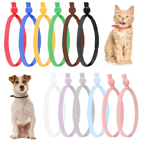 Andibro 60 Stück Kitten halsbänder,12 Farben Verstellbare Welpen ID Halsbänder Soft welpenhalsband 10.5 cm Bandschnur mit Verstellbarer Schnalle für Neugeborene Welpen Kätzchen Haustiere