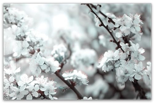 Herdabdeckplatte 80x52 cm ESG Glas | Blühender Kirschbaum – Frühlingsblüten Zweige Pastellfarben Blumen | Herd Abdeckung für Ceranfeld Schneidebrett Glasplatte Induktion