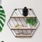 GEEZY Modern Shelf of Metal Wire and Wood, Decorative Hexagon Shape Storage Rack for Every Type of Room