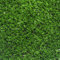 TENAX Standard Green 1,00x4 m Erba Sintetica, Stuoia con fibre da 7 mm, Tappeto Verde per Pavimentazioni Esterne e Interne, Balconi, Decorazione Ingressi e Passatoie