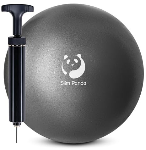 Slim Panda 9 Inch Pilates Ball With Pump,23-25CM Exercise Ball for Pilates, Balance, Stability, Workout, Core Training (Anti-Leakage Nozzle)