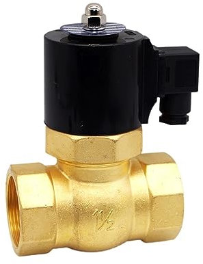 AWWVRLMM Électrovanne à Vapeur, électrovanne en Laiton NC à 2 Voies G1-1/2 vanne magnétique électrique Haute température 1,6 MPa AC220v DC12(BSP-24VDC)