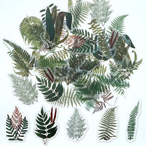 ExceLife Retro Fern Leaves Stickers Set, Self-Adhesive PET Transparent Waterproof Fern Leaves Stickers for Scrapbooking, Journal, Album, Phone Case, Laptop, Card Making, 40Pcs