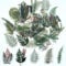 ExceLife Retro Fern Leaves Stickers Set, Self-Adhesive PET Transparent Waterproof Fern Leaves Stickers for Scrapbooking, Journal, Album, Phone Case, Laptop, Card Making, 40Pcs