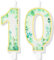 Eucalyptus Print Number 10 Candles, Green Themed Birthday Cake Decorations for Surprise Partys for Boys Girls Woman Man