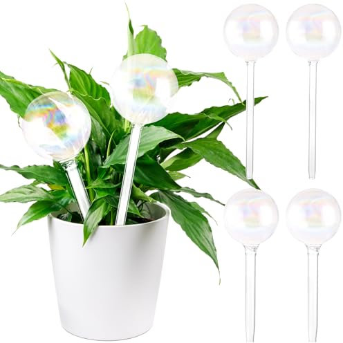 MIVIDE Watering Balls, Set of 6, Transparent Glass Watering Balls, Water Dispenser for Plants, Watering Balls for Indoor and Outdoor Plants (Large and Small)