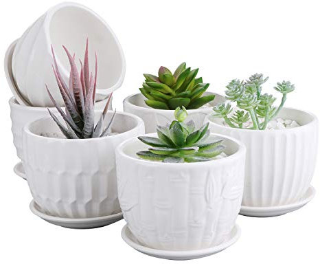 Brajttt Lot de 6 Pots de Fleurs cylindriques en céramique de 10,2 cm avec Soucoupe connectée, Mini Pots de Fleurs en céramique pour Plantes succulentes et Petits Serpents (Lot de 6, Blanc)