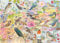 Birds of the Seasons - 1000 Piece Jigsaw Puzzle