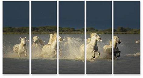 islandburner Tableau sur Toile Région du Marais aux Chevaux Sauvages de Camargue Cadre Affiche Poster Murale Tableaux