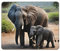 Mauspad mit Elefant und Baby-Elefant, verschiedene Größen, gummiert, horizontal, Büro-Schreibblock, geeignet für Laptops zu Hause usw.