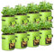 LITLANDSTAR 8 Stück 10 Gallonen Kartoffel Pflanzsack, 37L Kartoffel Pflanzen Tasche aus Vliesstoff mit Sichtbarer Klappe und Griffen für Pflanze Tomaten, Kartoffeln, Gemüse und Blumen (Grün)