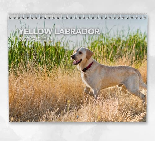 Gelber Labrador Kalender 2026 - Monatlicher Wandkalender mit Notizen, hängend im A4-Format, inklusive Schlüsseldaten & Feiertagen
