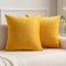 MIULEE Samt Kissenbezug Kissenhülle Kissenbezüge Sofakissen Dekorative Dekokissen Couchkissen Deko Bezug Überzug für Kinder Sofa Wohnzimmer Schlafzimmer 2er Set 30x30 cm Orangegelb