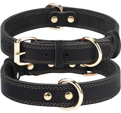 Joytale Hundehalsband Leder, Halsband aus Leder für Mittlere Hunde, Weiches Echtleder Hundehalsband Langlebig und Verstellbar, Schwarz, M