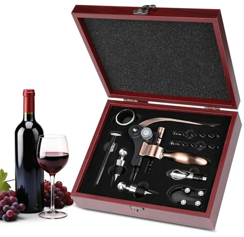 9 Pièces Tire Bouchon Set, Ouvre Bouteilles de Vin avec Coffret Cadeau
